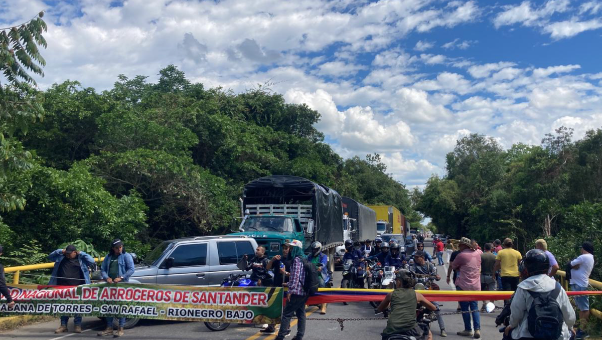 Paro arrocero en La Gómez empieza a impactar precios en Bucaramanga