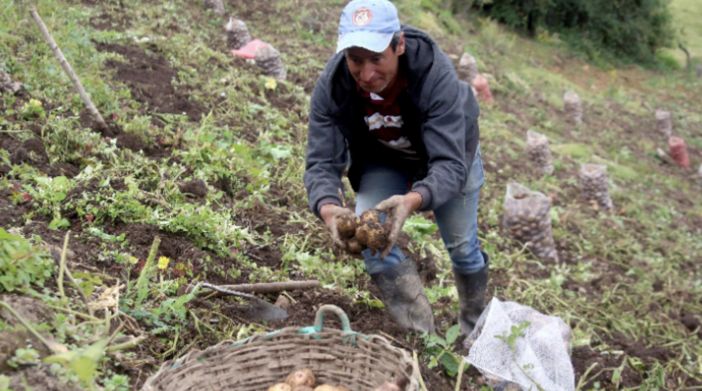 Avanza construcción de reserva temporal en páramo de Almorzadero