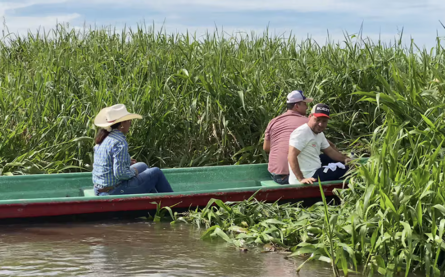“Nos están dejando sin agua”: ciudadanos lanzan alerta por el estado crítico de la ciénaga Juan Esteban en Barrancabermeja