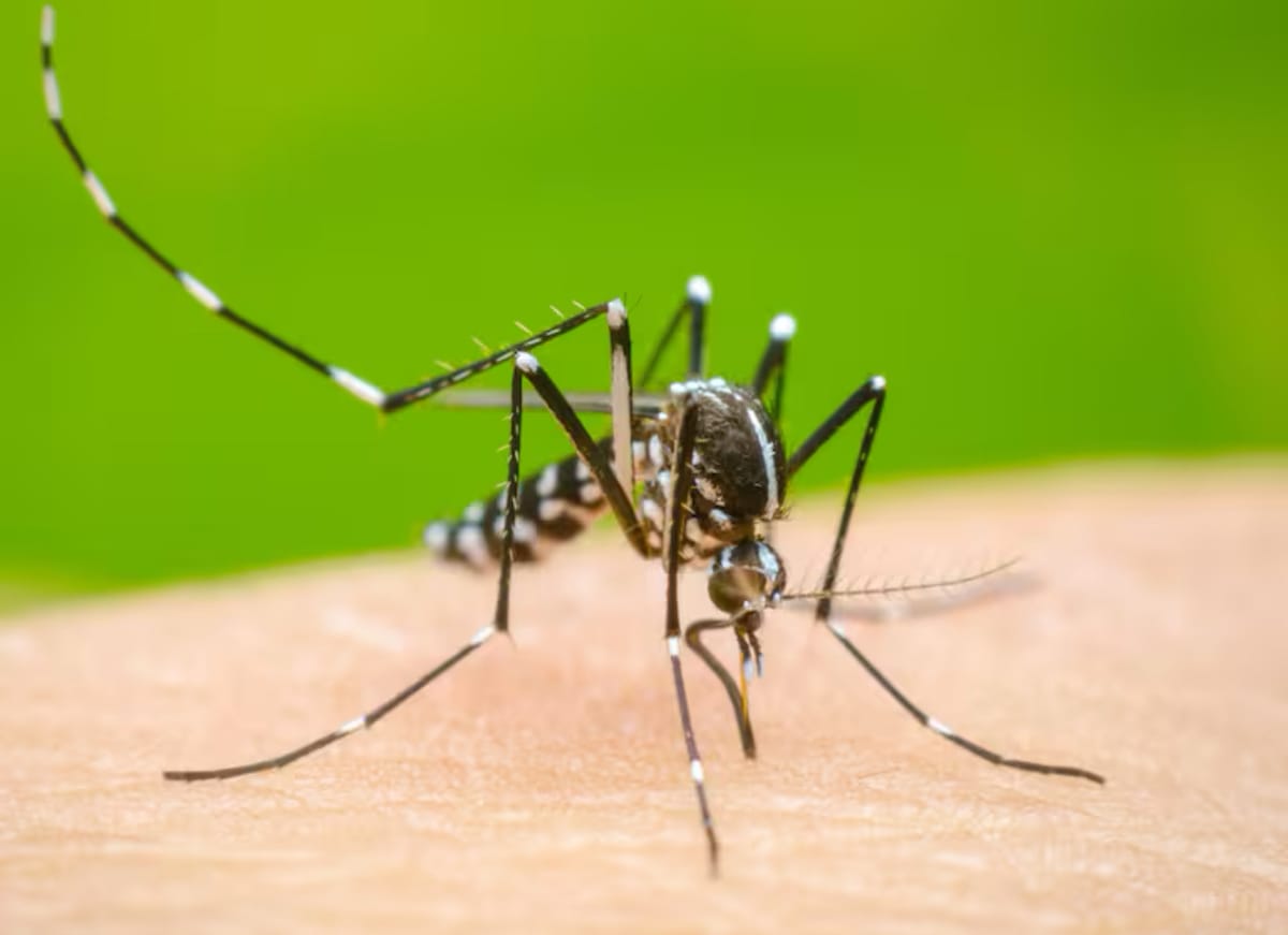 Santander supera los 6.970 casos de dengue en 2025, alerta máxima en curso