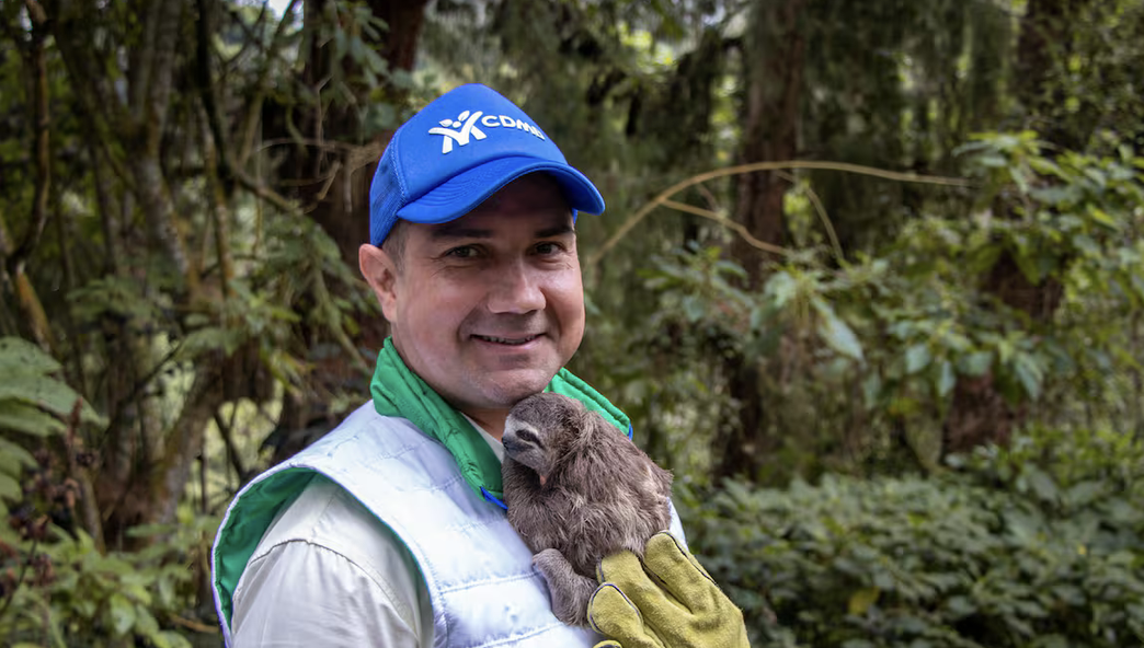 La CDMB gasta millones en propaganda mientras su presupuesto se esfuma en contratos amañados