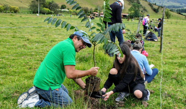 Más de 25.000 árboles nativos fueron plantados en San Vicente de Chucurí para proteger la ciénaga San Silvestre