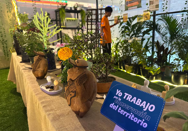 De la pesca a un santuario de mariposas: el proyecto que une conservación, turismo y esperanza en el Magdalena Medio