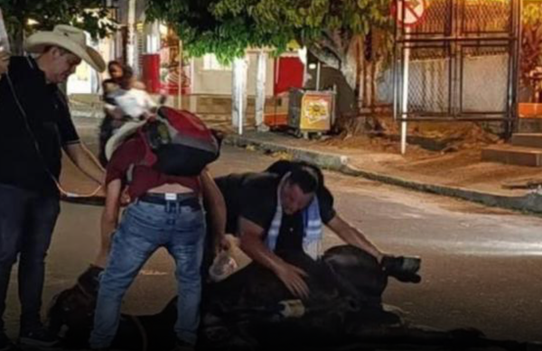 Cabalgata en Sabana de Torres termina con la muerte de un caballo: silencio y negligencia oficial
