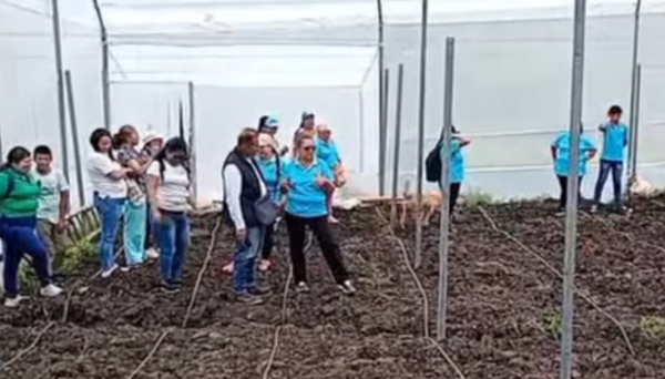 Gobernador Juvenal Díaz impulsa producción campesina con invernaderos en Santander