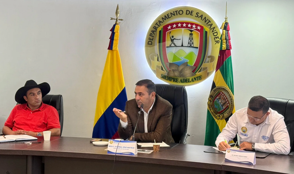 “¿Quiere que los metamos a las oficinas? El absurdo de la senadora Padilla frente a los gatos de la Gobernación”