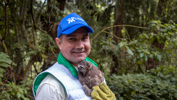 La CDMB gasta millones en propaganda mientras su presupuesto se esfuma en contratos amañados