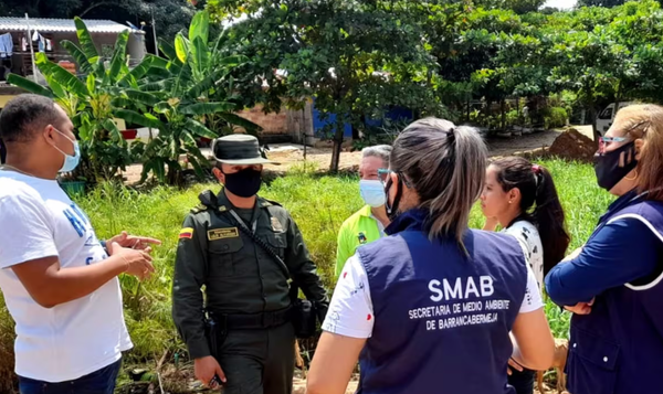 ¿Hasta cuándo vamos a seguir dándole más valor a un perro que a un niño? Una sociedad enferma y desproporcionada